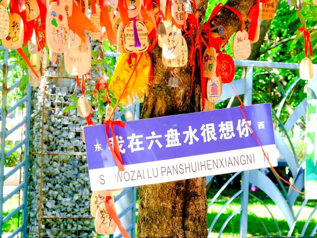 2021马拉松六盘水_六盘水马拉松奖牌_六盘水马拉松冠军